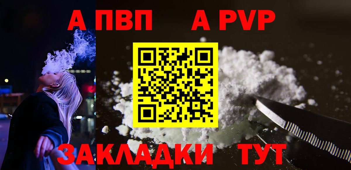 Альфа ПВП СК КРИС Великий Новгород