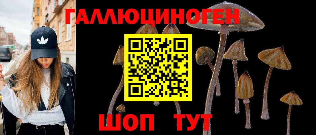 Галлюциногенные грибы MAGIC MUSHROOMS Великий Новгород